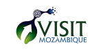 logo-footer
